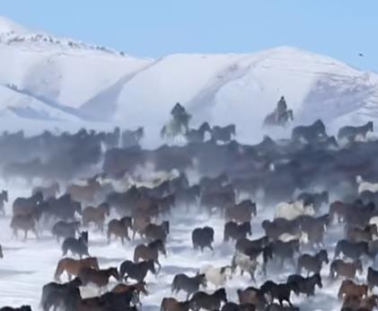 人到中年,最好的养生是什么?配图 人到中年,最好的养生是什么?配图
