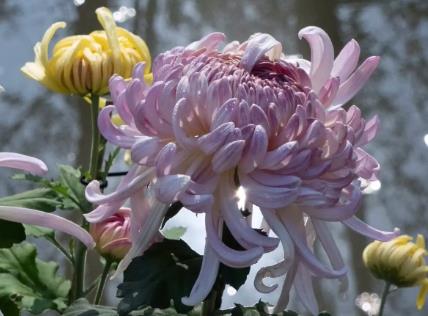 《道德经》不是给普通人看的配图