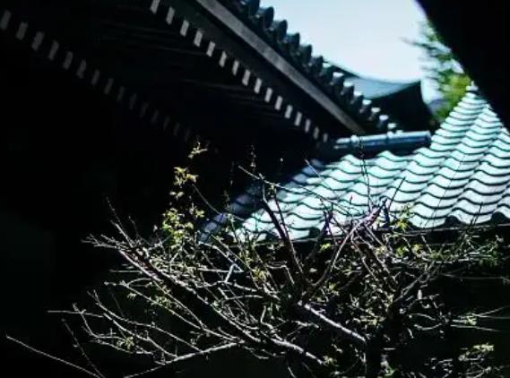 不要因为任何人的离开而停止原本的生活配图