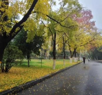 我的中年极简生活配图 我的中年极简生活配图