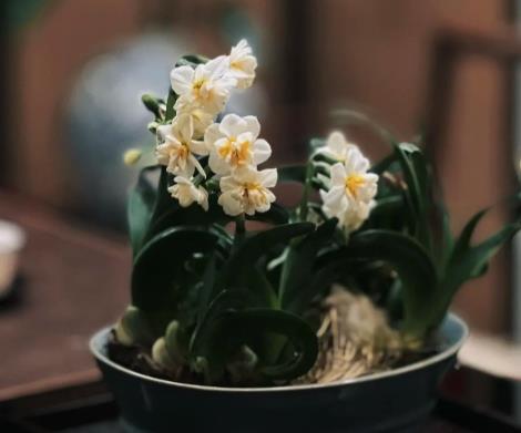 人生一世,无非是认识自己,洗练自己,自觉自愿地改造自己配图 人生一世,无非是认识自己,洗练自己,自觉自愿地改造自己配图