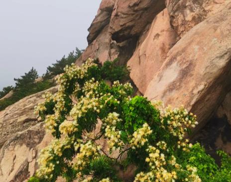 无论在哪里上班,同事议论你,领导批评你,听听就好配图 无论在哪里上班,同事议论你,领导批评你,听听就好配图