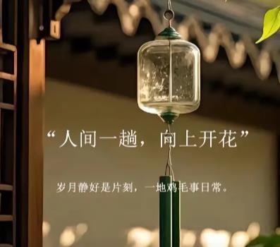 人生就像一支铅笔，开始很尖，经历多了就会圆滑配图