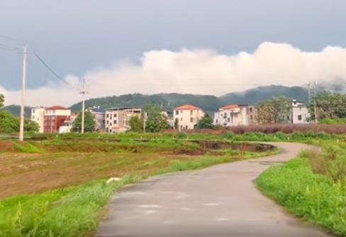 发现通往终极道路的方向都是同一个——当下配图