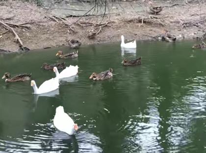 人生的意义是什么？配图