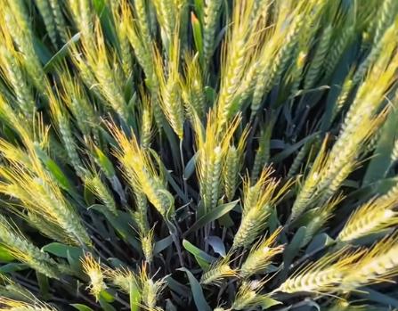 后来的我，越来越认可、重要的事只有两件配图