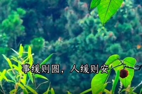 你一定要相信，人生真的会突然变好的配图