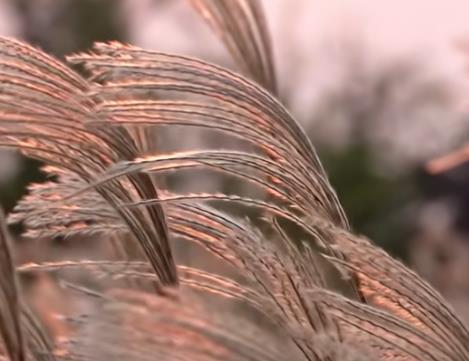 一夜之间突然就冷了配图