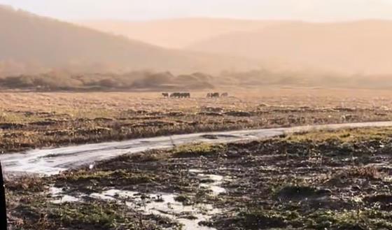 2025年网友票选人生十大遗憾之事排行榜配图 2025年网友票选人生十大遗憾之事排行榜配图