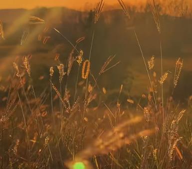 慢慢的天气渐凉了,不要盲目追求过度保暖配图 慢慢的天气渐凉了,不要盲目追求过度保暖配图