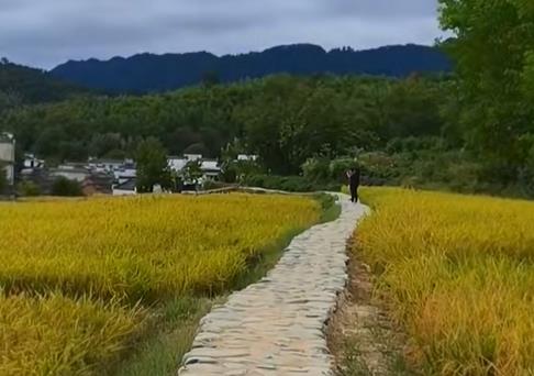 来生不会再重逢,今生请好好珍惜配图 来生不会再重逢,今生请好好珍惜配图