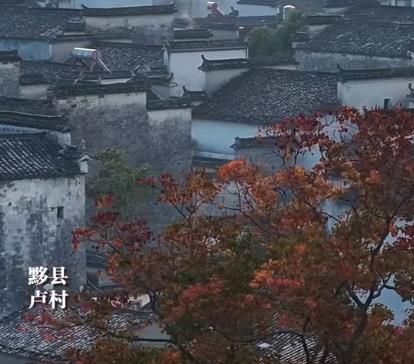 来日并不方长， 善待自己配图