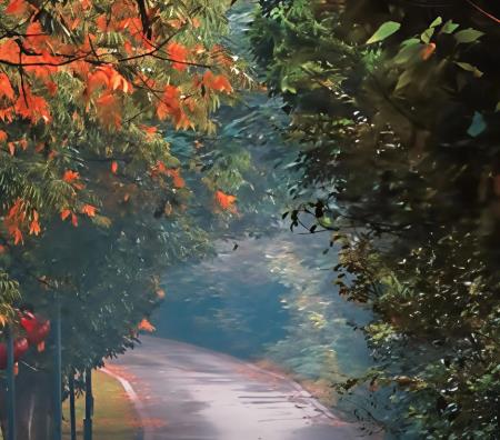 岁月匆匆,年华易逝,又是一年暮秋配图 岁月匆匆,年华易逝,又是一年暮秋配图