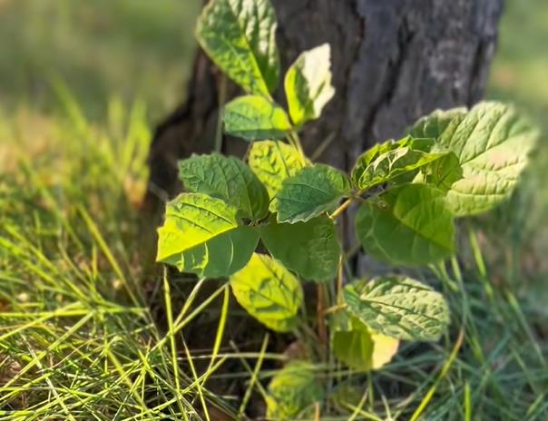 当你的认知越来越高时,你开始理解身边的每一个人配图 当你的认知越来越高时,你开始理解身边的每一个人配图