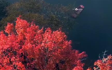 路漫漫终有归途,这路遥马急的人间,你我平安喜乐就好配图 路漫漫终有归途,这路遥马急的人间,你我平安喜乐就好配图