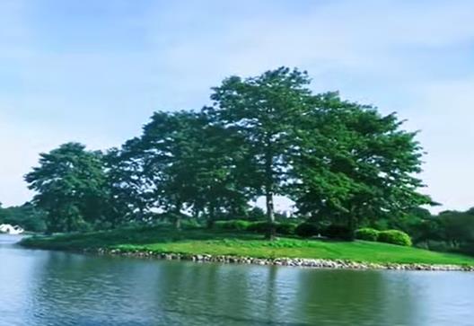 一定要珍惜还在的欲望配图 一定要珍惜还在的欲望配图