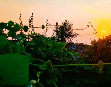 在国内外形势都不稳定不明朗的情况下,作为普通人应该如何应对呢?配图 在国内外形势都不稳定不明朗的情况下,作为普通人应该如何应对呢?配图