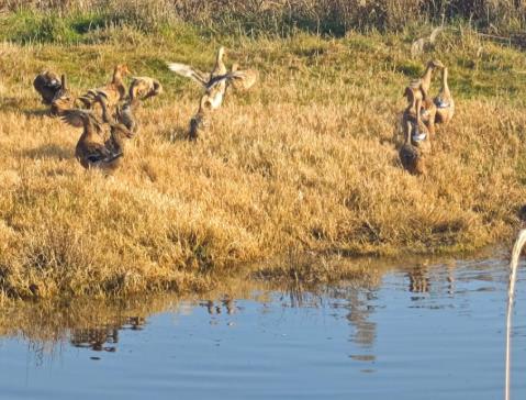 你要记住：俗话说“靠人不如靠己”配图