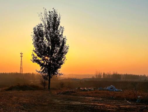 如果你感觉自己活的憋屈，那就问一下自己，是不是太贪心了配图