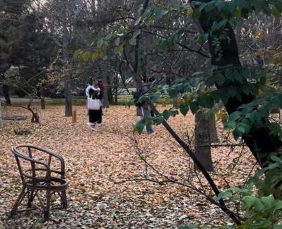 人民日报金句： 如果以后我们没有联系了配图