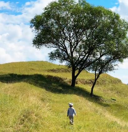 很多事情不需要有意义配图