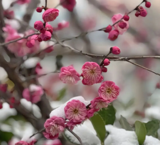 最初我遇到一位对我很好的贵人提携配图 最初我遇到一位对我很好的贵人提携配图