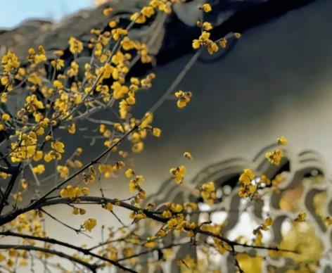 一个回首,又到年底配图 一个回首,又到年底配图